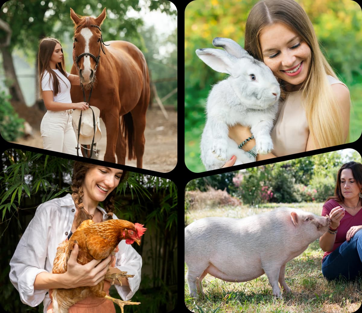 Buddypaws Illustration