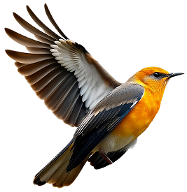 flying bird